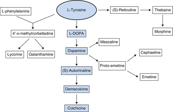 zyloprim 200 mg side effects zyloprim pills online