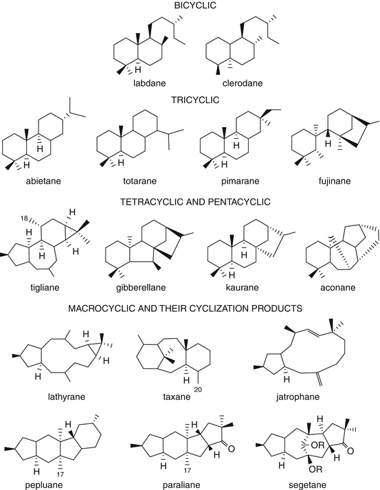 Diterpenes for Therapeutic Use SpringerLink