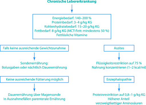 Ernahrung Bei Chronischen Lebererkrankungen Springerlink