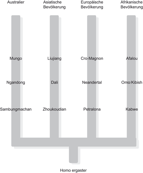 Evolution Des Menschen Springerlink - 