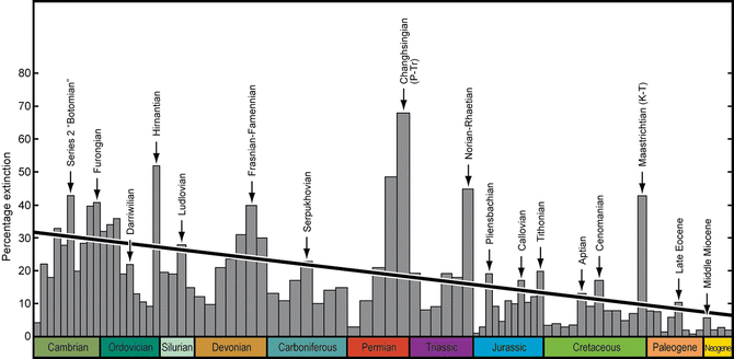 Patterns Of Diversification And Extinction Springerlink Diversification And Extinction, Arm S Reach Co Sleeper Cambrian