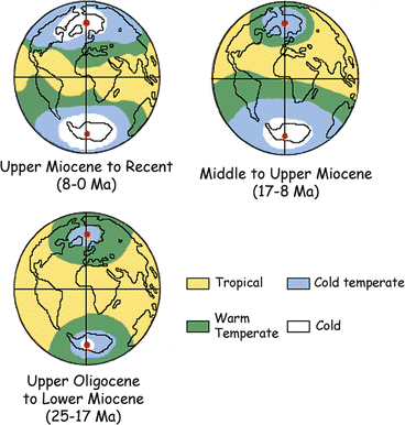 The Miocene Hominoids And The Earliest Putative Hominids Springerlink