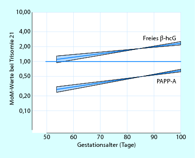 Ersttrimesterscreening Springerlink