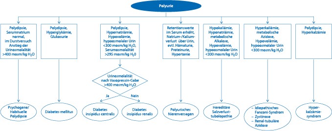 Polyurie Oligurie Anurie Springerlink