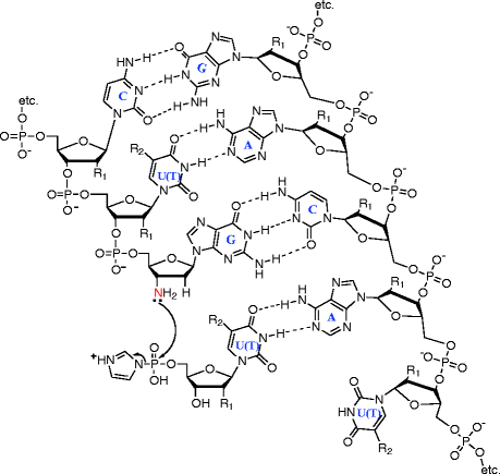 Life The Physical Underpinnings Of Replication Springerlink