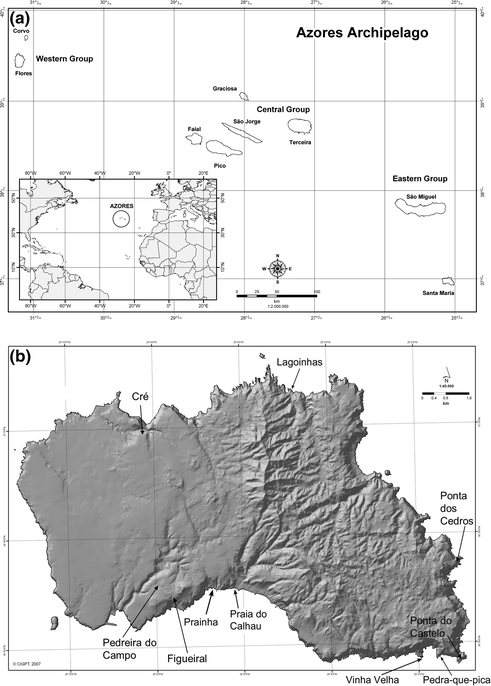 The Marine Fossil Record At Santa Maria Island Azores Springerlink