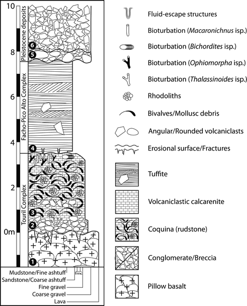 The Marine Fossil Record At Santa Maria Island Azores