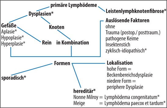 L Springerlink