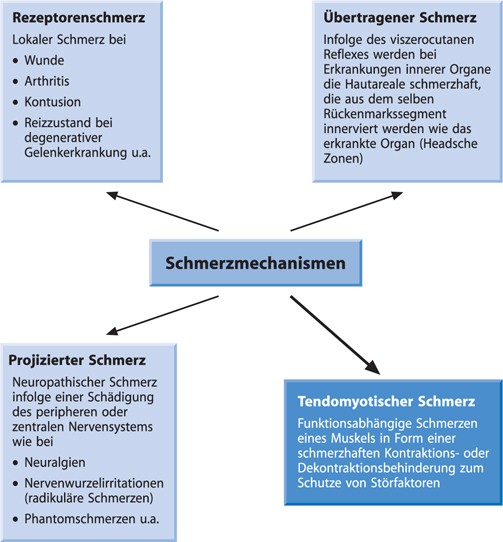 S Springerlink S Springerlink