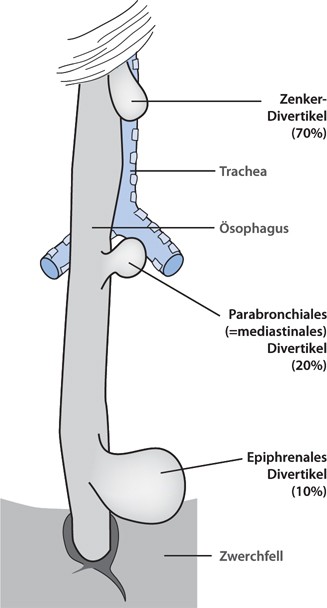 D Springerlink