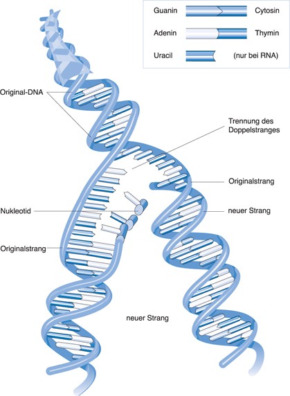 D Springerlink