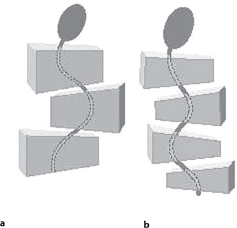 D Springerlink
