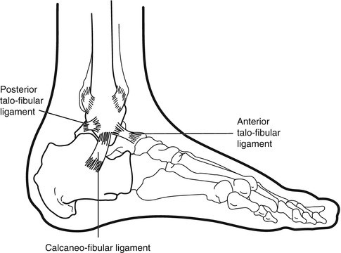 Ankle Instability Springerlink