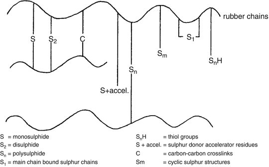 Vulcanization | SpringerLink