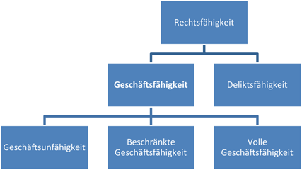 9 Geschaftsfahigkeit Springerlink
