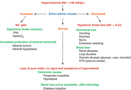 Fluid And Electrolyte Balance Chart
