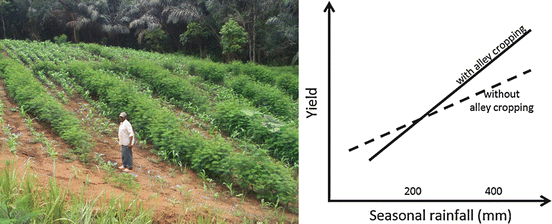 Agroforestry Essential For Sustainable And Climate Smart Land Use Springerlink