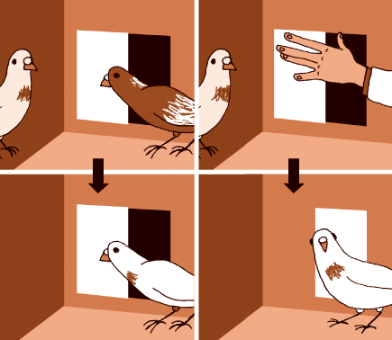 Nur Menschen Haben Kultur Springerlink