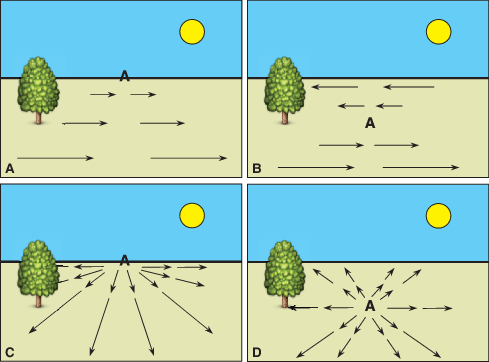 Visuelle Informationsverarbeitung Springerlink