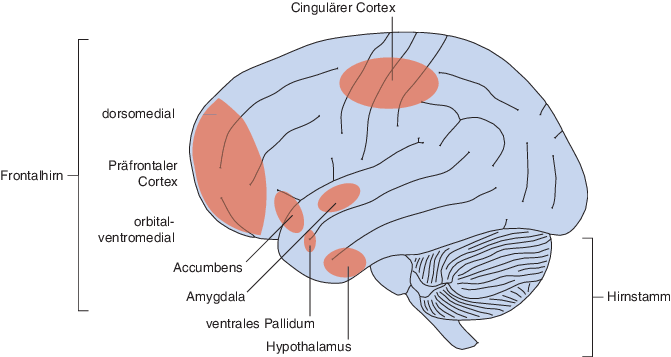 Emotion Springerlink