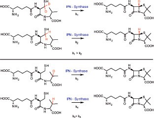 Pharmaceuticals | SpringerLink