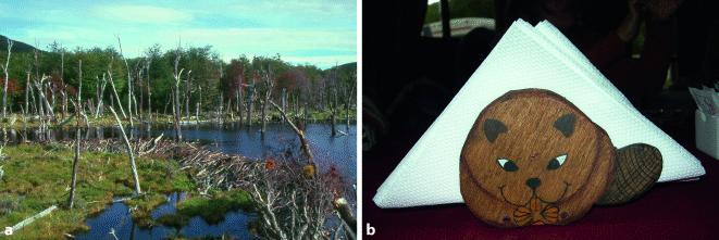 Gefährdung der Biodiversität SpringerLink