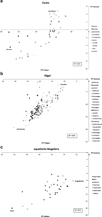 Kohlenstoffisotope datieren