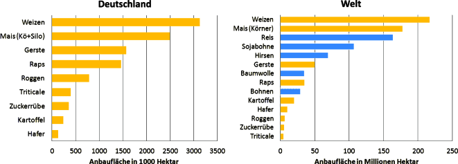 5 Jahre älter