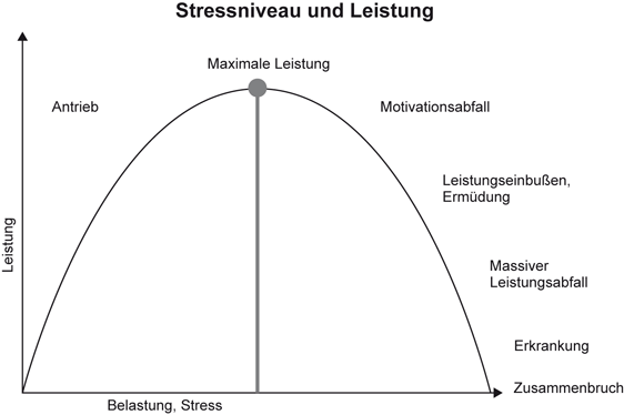Stress – von der Entstehung bis zu den Auswirkungen | SpringerLink