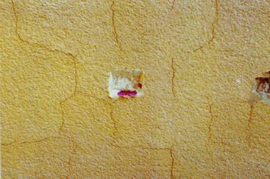 Beschichtungen Und Anstriche Springerlink