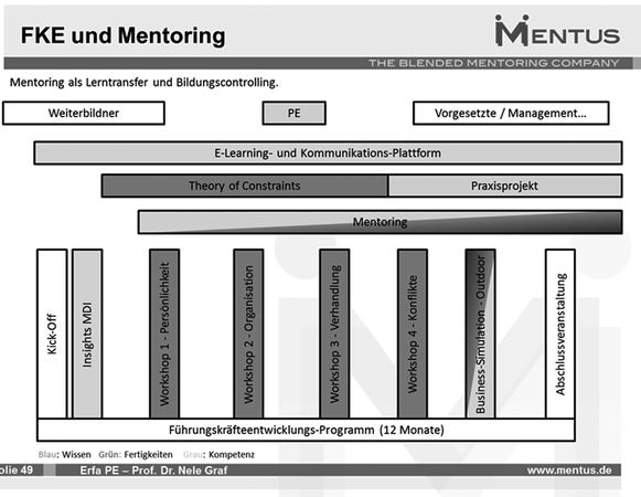Einbettung Des Mentoring In Die Organisation Springerlink