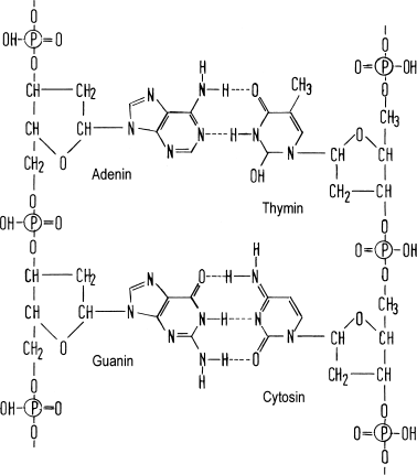 Chemie Springerlink