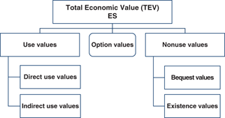 Ascertainment And Assessment Of Es Springerlink