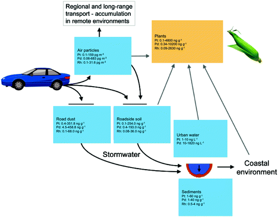 Bioavailability Of Platinum Group Elements To Plants A Review