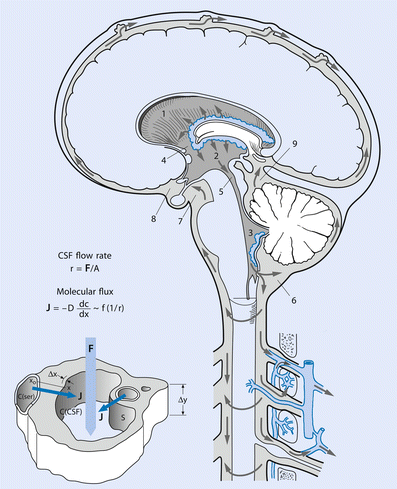 Physiologie des Liquors | SpringerLink