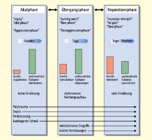 Ernahrung Auf Intensivstationen Springerlink