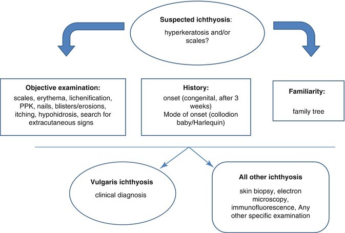 shop practical methods in cardiovascular research