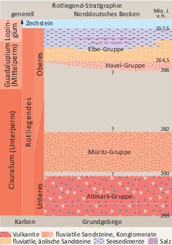 Worauf setzt die biologisch-stratigraphische Datierung