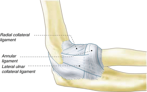 Injuries of Elbow and Forearm | SpringerLink