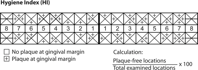 Plaque Score Chart