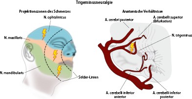 Nervensystem | SpringerLink