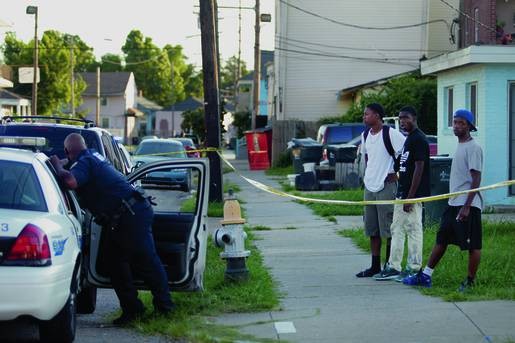 Die Entwicklung Der Geschlechter Springerlink