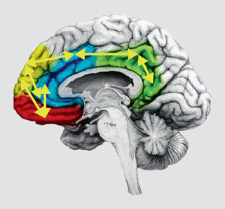 Depressive Syndrome Springerlink