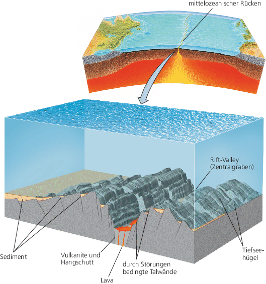 Das Meer | SpringerLink