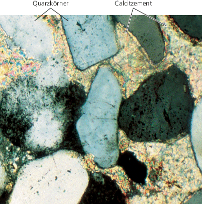 Sedimente Und Sedimentgesteine Springerlink
