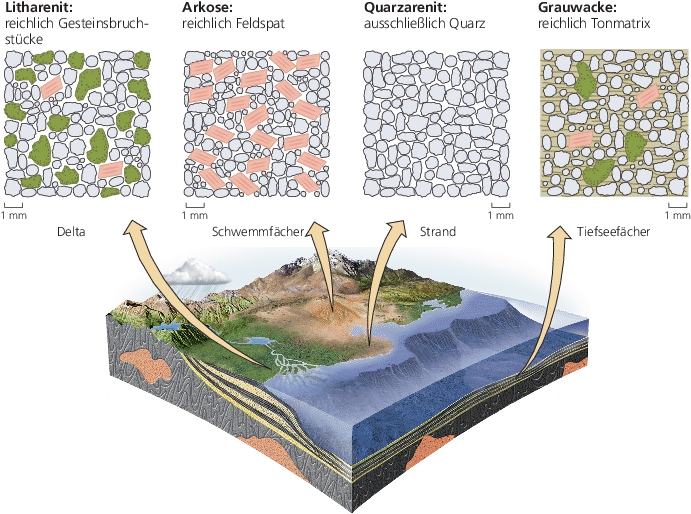 Sedimente Und Sedimentgesteine Springerlink