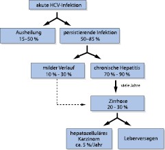 Virushepatitis Springerlink