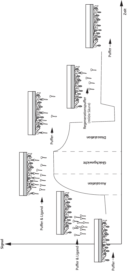 Download Matrize hoechste form des gluecks ist ein leben mit einem gewissen grad eine verruecktheit HD Matrize Hoechste Form Des Gluecks Ist Ein Leben Mit Einem Gewissen Grad Eine Verruecktheit