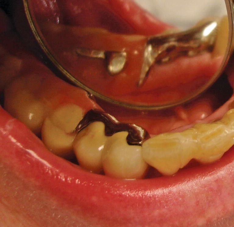 Ganzheitliche Zahnheilkunde | SpringerLink