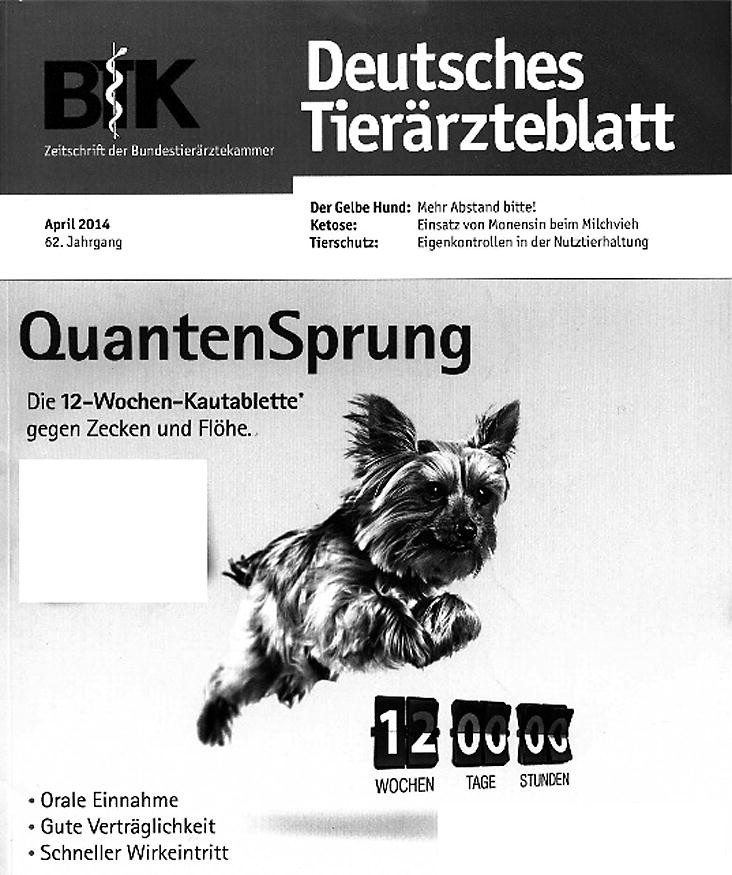 Die Quanten veranschaulichen | SpringerLink